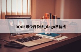 DOGE币今日价格_dogo币价格