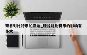 硅谷对比特币的影响_硅谷对比特币的影响有多大
